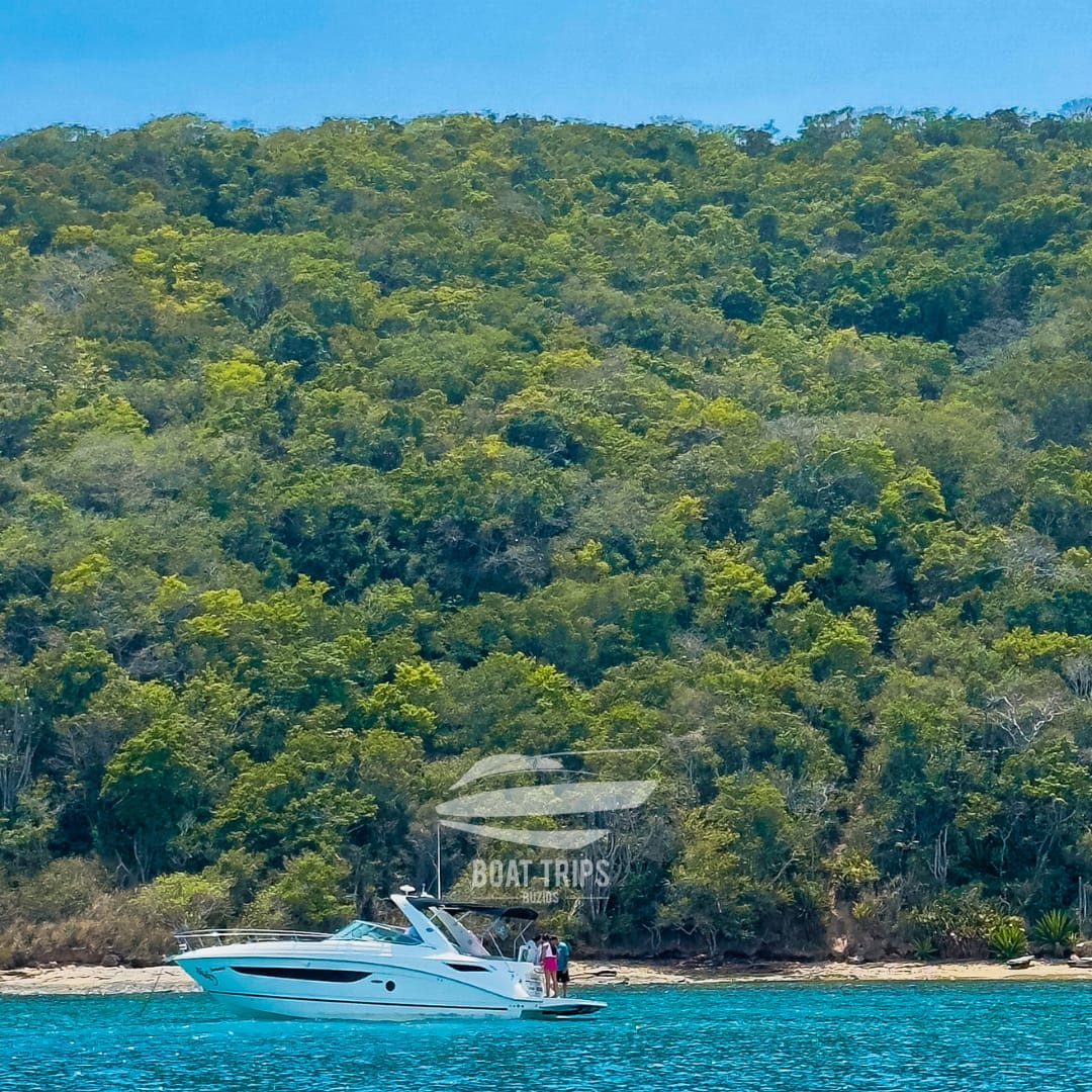 Passeio Boat Trips na Praia da Tartaruga em Búzios